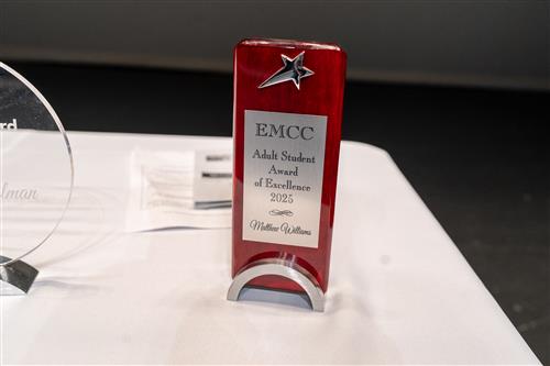 the award on a table